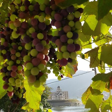 Cherry Flower Višegrad 외부 사진